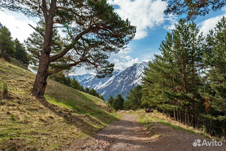 Йога-ретрит “YoGa&GoRy”