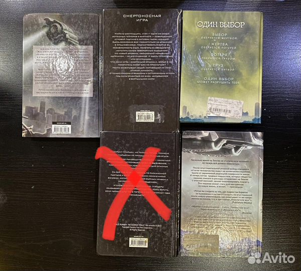 Серия книг Бегущий в лабиринте, Сотня, Инсургент