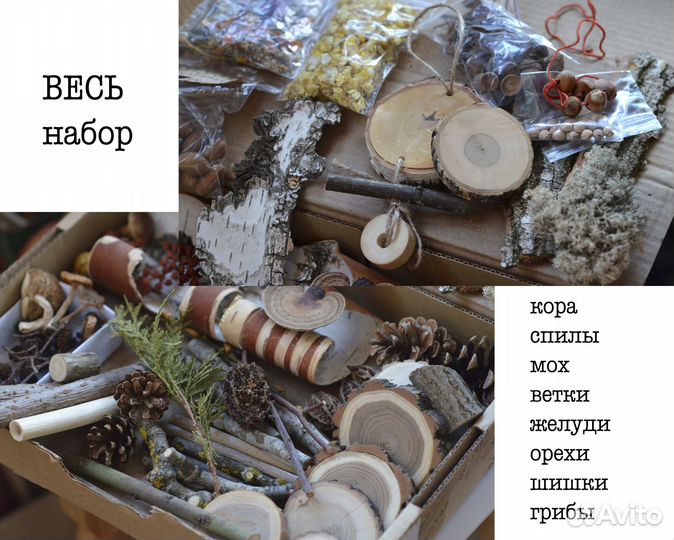 Большой набор природные материалы для поделок