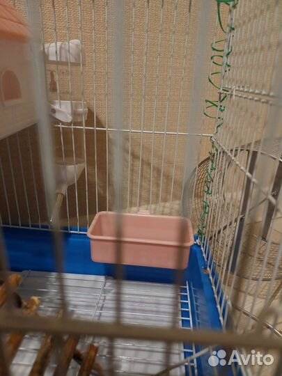 Клетка для грызунов