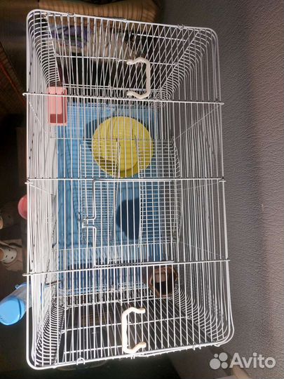 Большая клетка для крыс