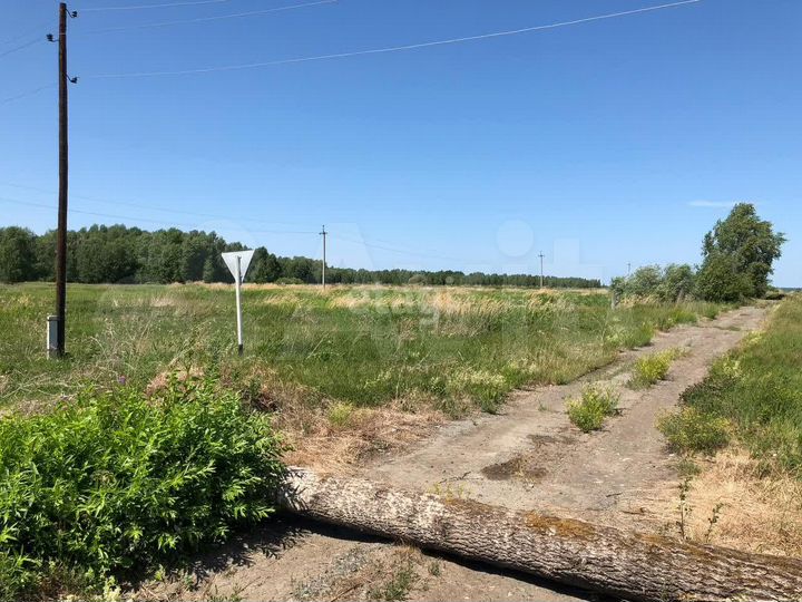 Участок 4 га (промназначения)