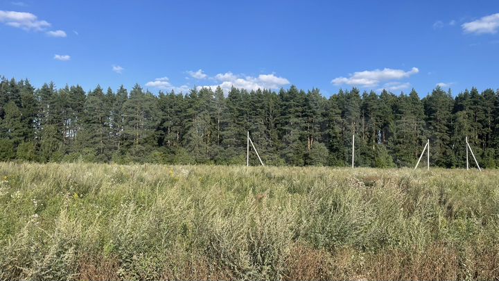 Участок 10 сот. (ИЖС)