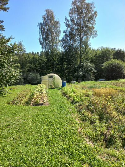 Дом 68,6 м² на участке 25 сот.