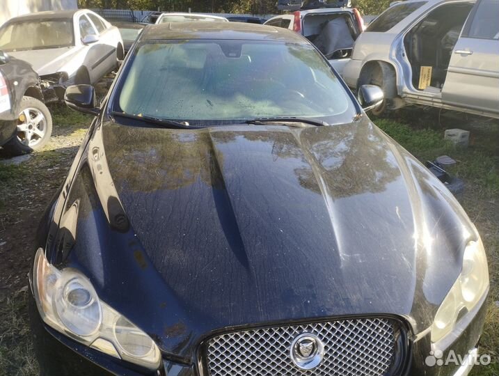 Запчасти ягуар xf