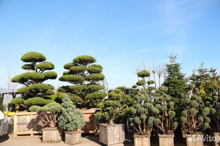 Помощник по хозяйству с проживанием вахта