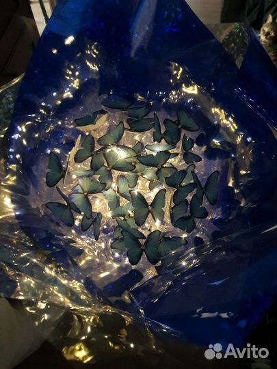 Букеты из бабочек