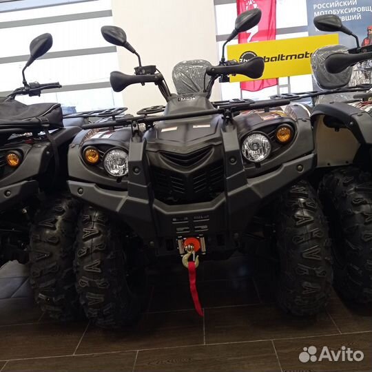 Квадрицикл baltmotors striker 500 EFI