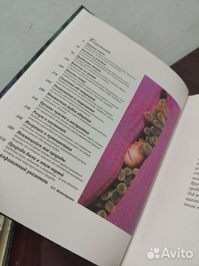 Секреты Природы. Мир животных и растений