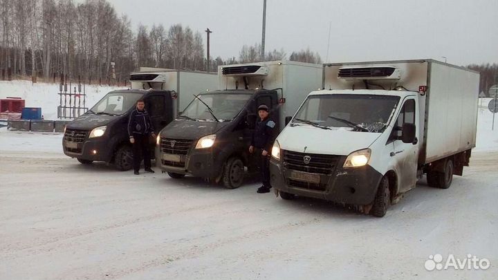 Водитель на Газель