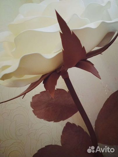 Декоративная роза