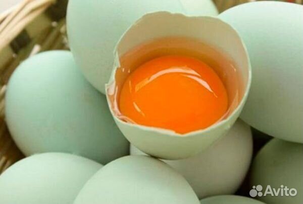Домашние куриные яйца