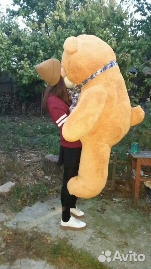 Плюшевый медведь