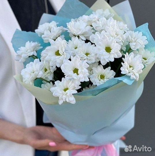 Хризантема