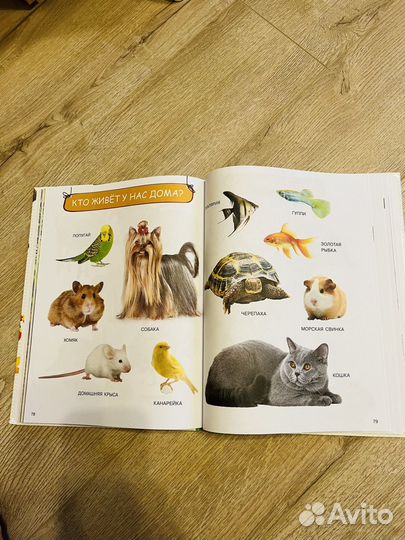 Моя первая книга