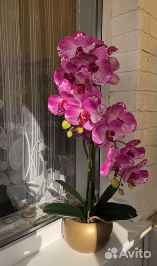 Орхидея фаленопсис искусственная