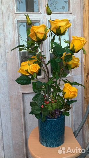 Розовый куст