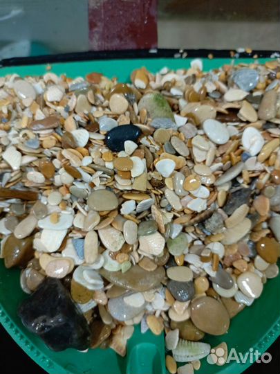 Аквариумные водоросли, аквариумный грунт