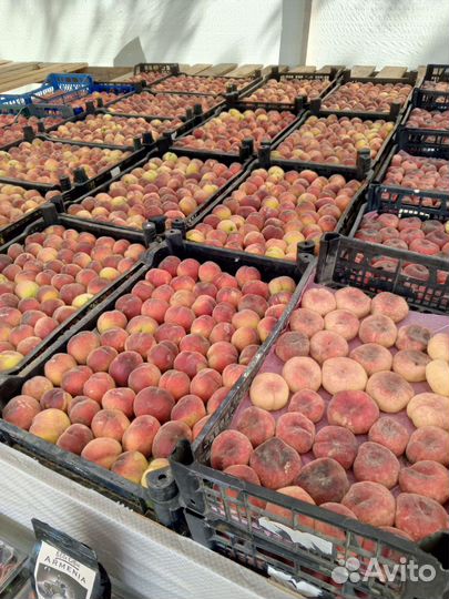Персики оптом