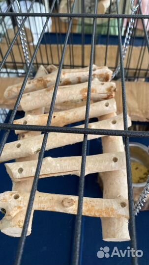 Клетка и шиншиллы