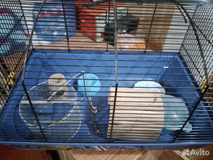 Клетка для грызунов большая