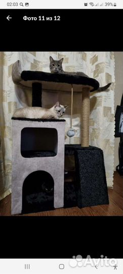 Когтеточка,домик для кошки,комплекс