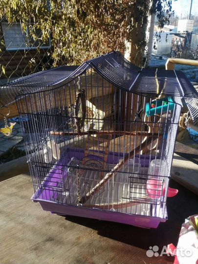 Клетка для попугая с игрушками