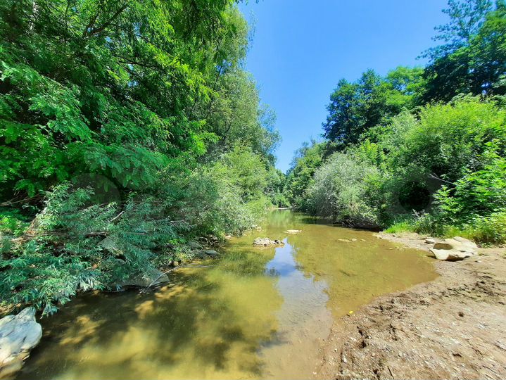 Участок 24,6 сот. (СНТ, ДНП)