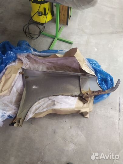 Крылья калина 1