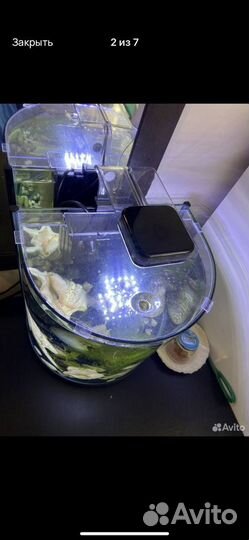 Аквариум с рыбками