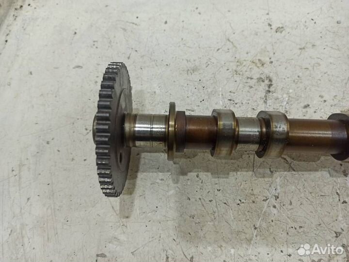 Распредвал впускной Форд