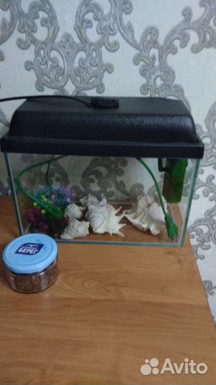 Аквариум 10 литров