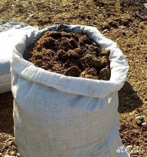 Продаю навоз