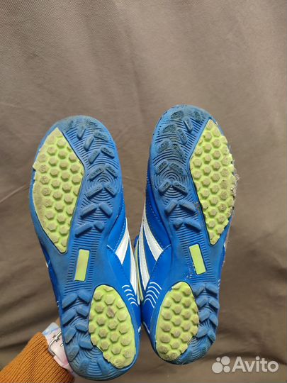 Сороконожка