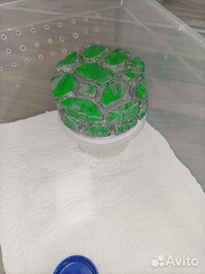 Набор для эублефара