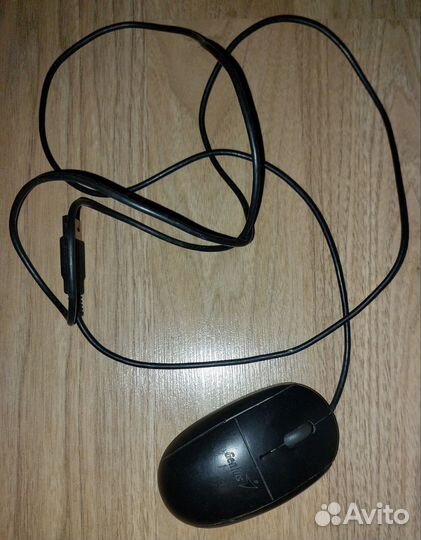 Мышь Genius Netscroll 100x Usb