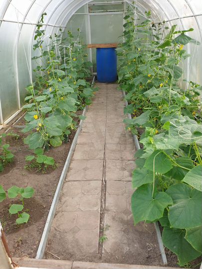 Дом 54 м² на участке 6 сот.