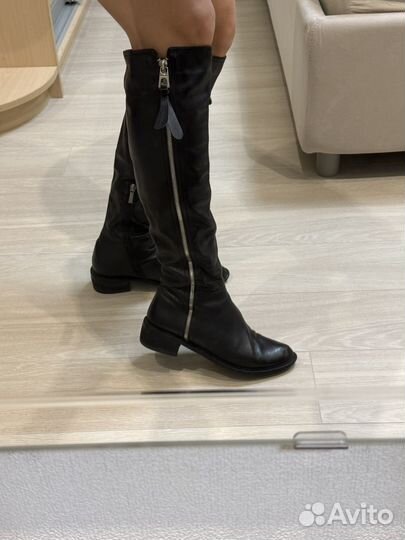 Сапоги basconi