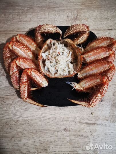 Краб волосатик