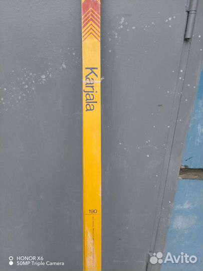 Беговые лыжи