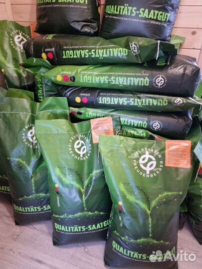 Мятлик луговой Балин Германия,импортные семена2023