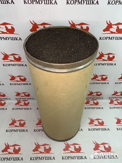 Рапс семена