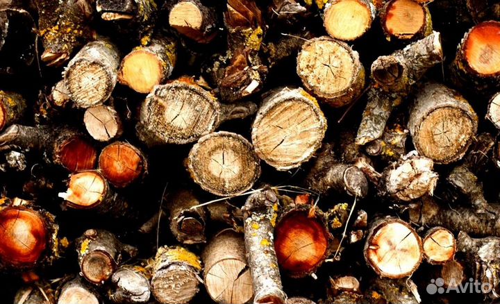 Дрова 30 см