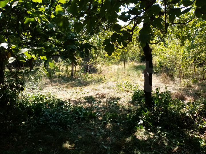 Участок 5 сот. (ИЖС)