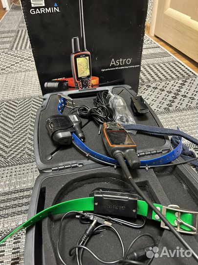 Ошейник навигатор для собаки