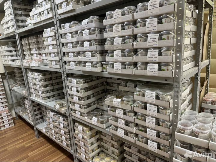 Специи Кавказа оптом - более 50 видов