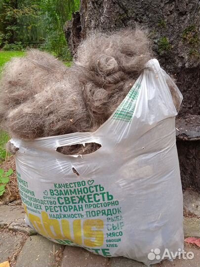 Шерсть (подшерсток, пух) вычес вео овчарки