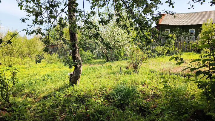 Участок 8 сот. (ИЖС)