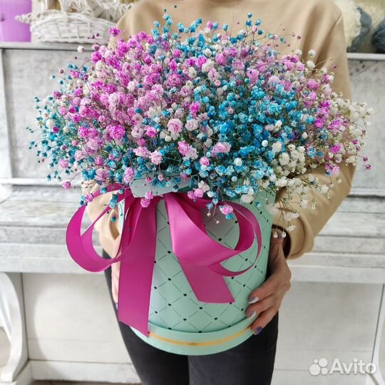 Гипсофила от производителя