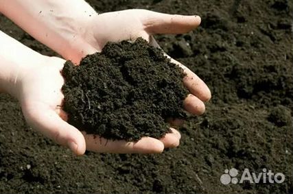 Почвогрунт